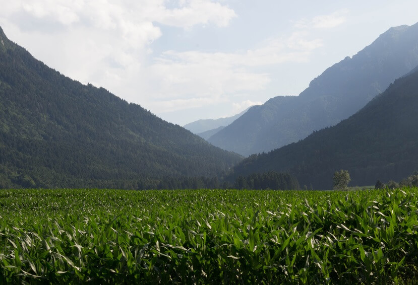 La Terre, notre mère nourricière