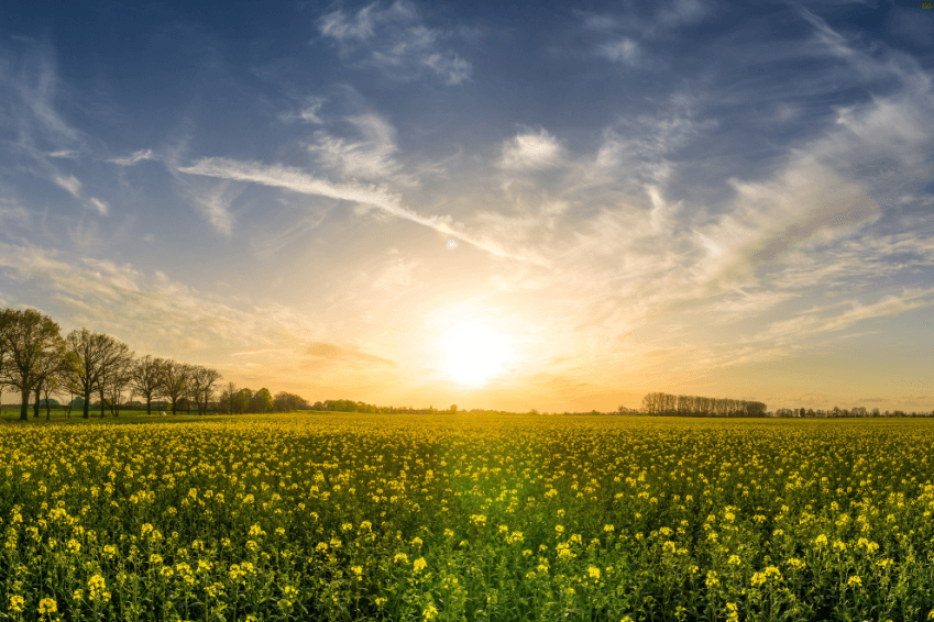 Signification de l’équinoxe de printemps